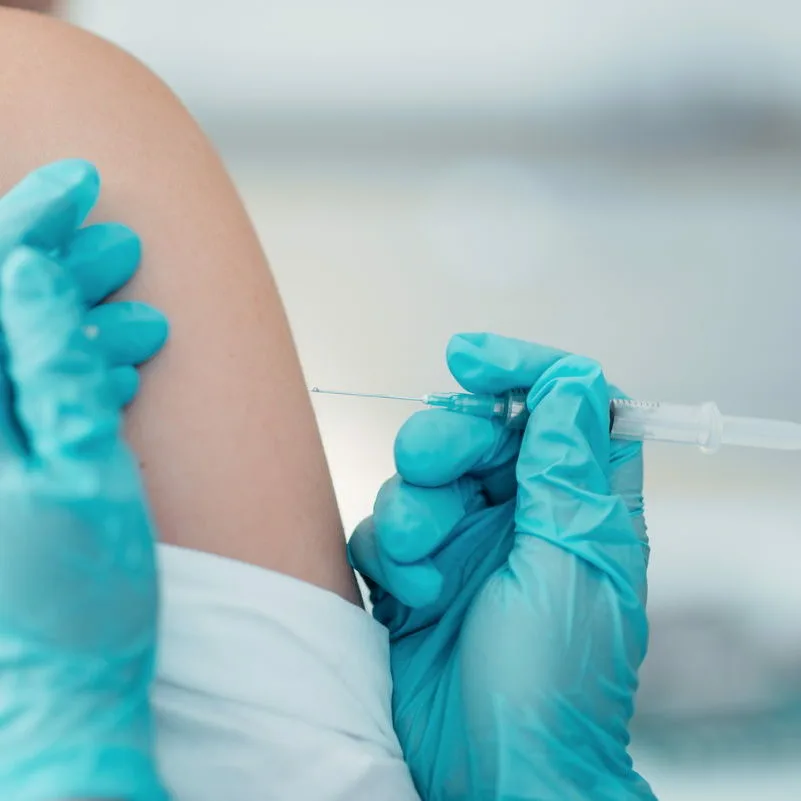programm